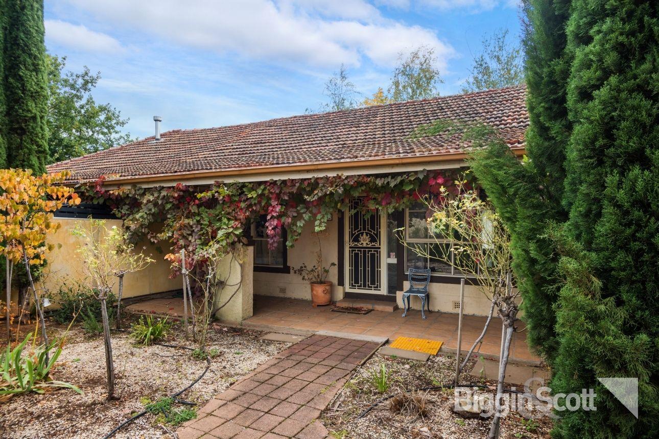 banner-img