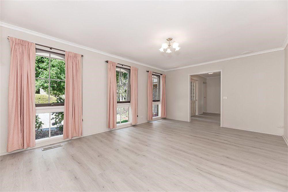 banner-img